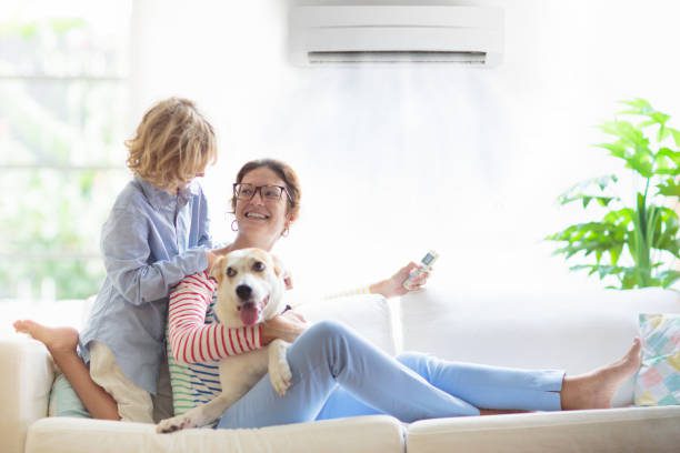 https://www.istockphoto.com/photo/mother-and-child-with-air-conditioner-remote-gm1488964085-513987457?utm_source=pexels&utm_medium=affiliate&utm_campaign=sponsored_photo&utm_content=srp_inline_media&utm_term=aircon%20pets%20and%20baby