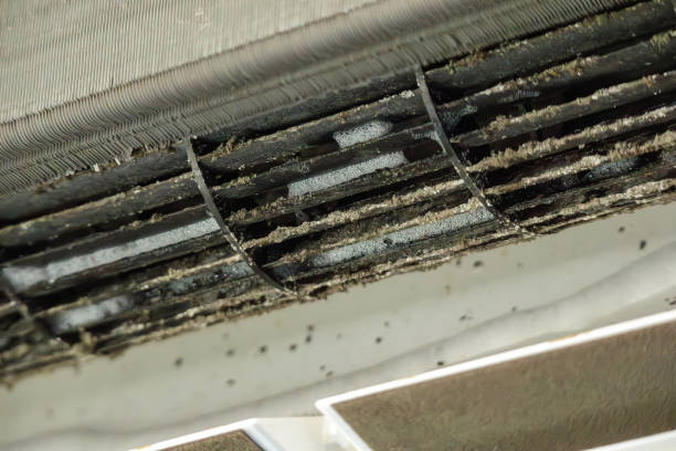 https://www.istockphoto.com/photo/dirty-air-conditioner-system-before-cleaning-gm1993777494-559762449?utm_source=pexels&utm_medium=affiliate&utm_campaign=sponsored_photo&utm_content=srp_inline_media&utm_term=dirty%20airconn%20coils