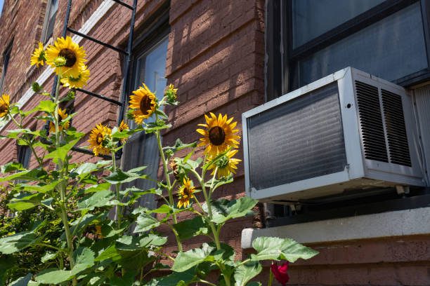 https://www.istockphoto.com/photo/window-air-conditioning-unit-with-yellow-sunflowers-in-astoria-queens-new-york-gm1265797568-370996964?utm_source=pexels&utm_medium=affiliate&utm_campaign=sponsored_photo&utm_content=srp_inline_media&utm_term=aircon%20windows