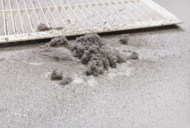 https://www.istockphoto.com/photo/dust-collected-from-the-air-duct-filter-gm1146748161-309108498?utm_source=pexels&utm_medium=affiliate&utm_campaign=sponsored_photo&utm_content=srp_inline_media&utm_term=mold%20in%20aircon